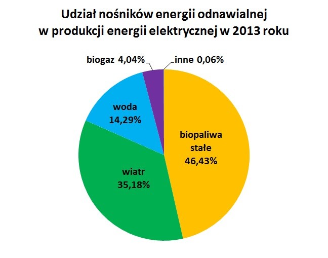 Udział nośników energii odnawialnej w produkcji energii elektrycznej w 2013 roku